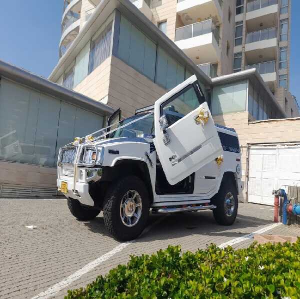 232323_optimized (1)